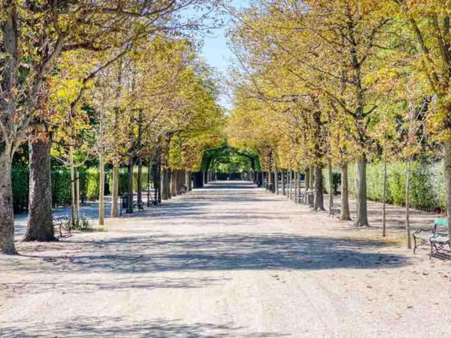 Center Apt In Best Area Near Park & Danube 20'To Airport Apartment Виена Екстериор снимка